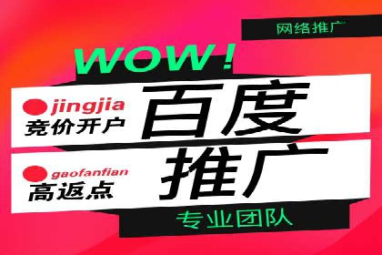 百度竞价与搜索引擎优化（SEO）的协同效应案例